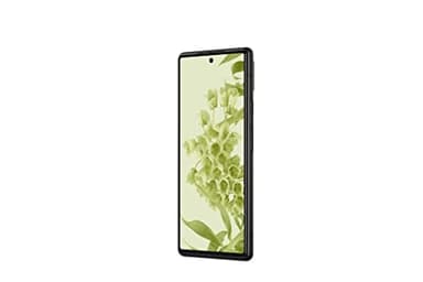 Google Pixel 6- Dual SIM (e-sIM) 128GB 8 GB RAM, 5G Kinda Coral - (Renewed)