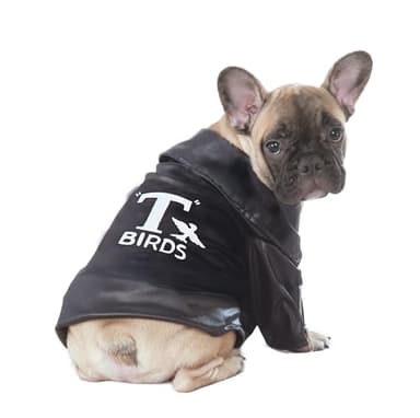 Rubies Grease Pet T-Birds Costume Jacket for Themed Parties and Halloween, Small
