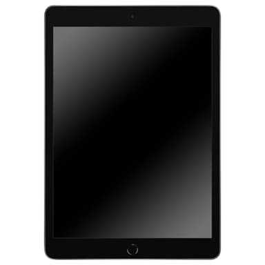 2019 Apple iPad (10.2-inch, Wi-Fi, 32GB) Space Gray (Renewed)