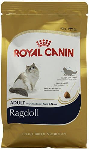 Royal Canin Ragdoll Adult Dry Cat Food 400g