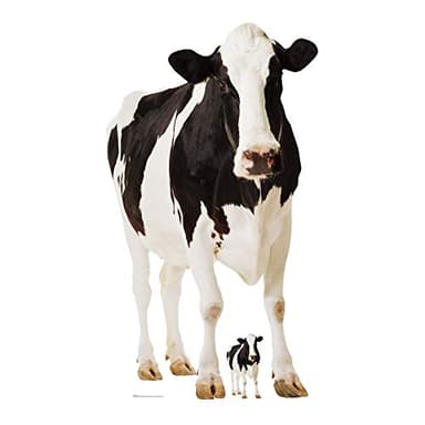 Star Cutouts SC163 Cow Cardboard Cut Out Height 165cm - Ideal for Animal Theme, Parties, Birthdays & Fans, Room Decorations & Events