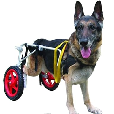GJUOFFKO Large Dog Wheelchair for Back Legs, Large Pet Dog Wheelchair for Large Dogs,Dog Wheel Chair Hind Legs Rehabilitation, Dog Wheelchairs Walkin Wheels