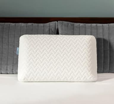 Ecosafeter 2026 Density Memory Foam Pillow-Ergonomic Neck Pillow for Deep Sleep For Side,Stomach,Back for Neck Pain Removable Washable Cover