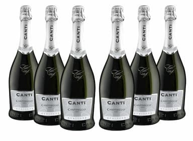 Canti Secco - Cuvèe, White Dry Wine, Italian Glera Grape Variety from Veneto, Fruity and Floral Taste, 6x750 ml