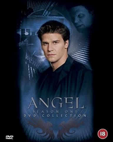 Angel - Season 1 [DVD]