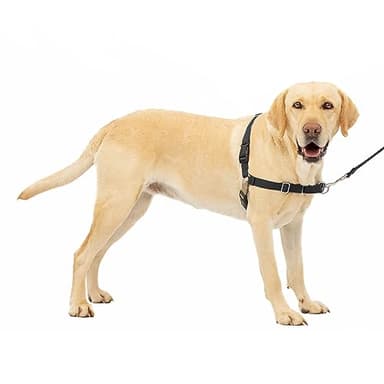 PetSafe Easy Walk dog harness, Black/Silver, large