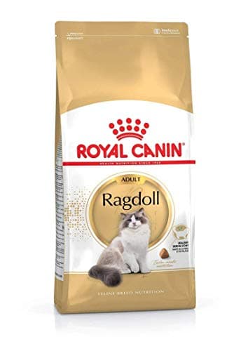 Royal Canin Cat Food Ragdoll 10kg