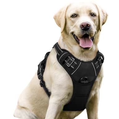 rabbitgoo Dog Harness Large Dog No Pull Pet Harness with 2 Leash Clips, Adjustable Soft Padded Pet Vest Harness, Reflective No-Choke with Easy Control Handle for Training or Walking, Black, L