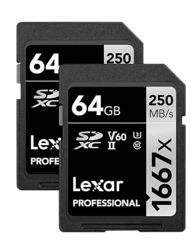 Lexar 64GB (2-Pack) Professional 1667x SDXC Memory Cards, UHS-II, C10, U3, V60, Full-HD & 4K Video, Up To 250MB/s Read, for Professional Photographer, Videographer, Enthusiast (LSD64GCBNA16672)