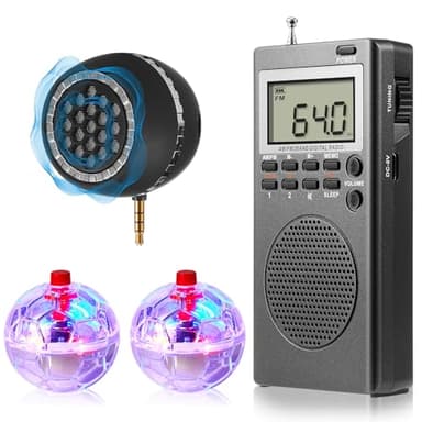 Dunzy 4 Pcs Ghost Hunting Equipment Kit Ghost Hunting Box with 2 LED Cat Ball 1 Radio Paranormal Equipment Kit for Home Office Outdoor(Classic)