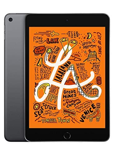 2019 Apple iPad Mini (7.9-inch, Wi-Fi, 256GB) Space Gray (Renewed)