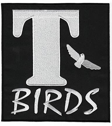 T-Birds Patch XL 20cm Embroidered Iron on Badge Applique Grease Costume Jacket 1950's Cosplay Souvenir