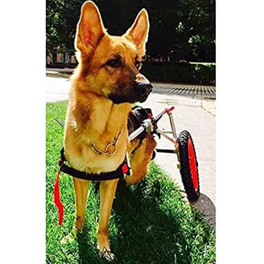 GJUOFFKO Large Pet Dog Wheelchair for Large Dogs, Large Dog Wheelchair for Back Legs, Dog Wheel Chair Hind Legs Rehabilitation, Dog Wheelchairs Walkin Wheels
