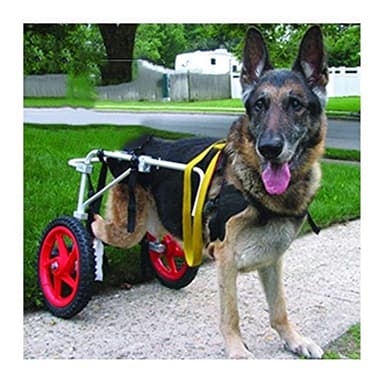 MYXJGNAIY Upgraded Dog Wheelchair - Rear Leg Support Cart for Large Pets | Adjustable Walkin Wheels for Hind Leg Rehabilitation | Harness Compatible (Strong & Durable Design) (XL)