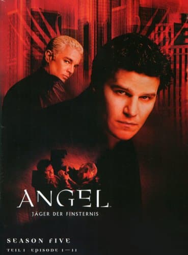 Angel - Season 5/Box Set 1