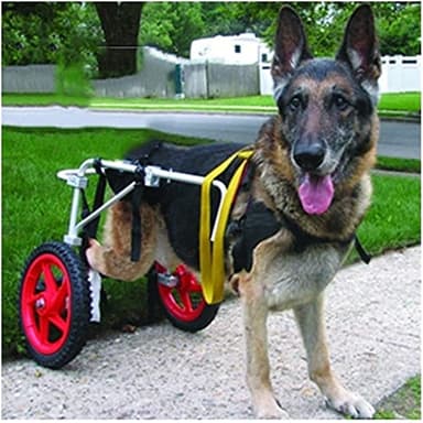 Large Pet Dog Wheelchair Walkin Wheels Help Em Up Harness, Large Dog Wheels for Back Legs Pet Wheelchair for Large Dogs Pet Cart Dog Wheel Chair Hind Legs Rehabilitation (Size : Large 1)