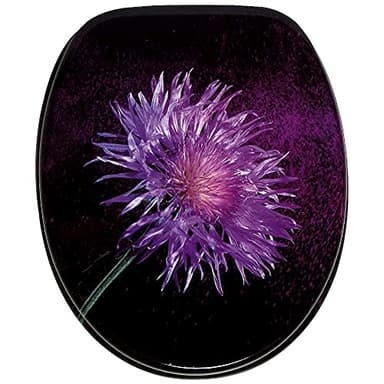 Sanilo Soft Close Toilet Seat, Wide Choice of New Toilet Seats, Stable Hinges, Easy to Mount (Purple Dust)