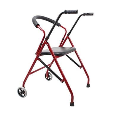 Folding Rollator Walker with 2 Wheels,Trolley with Padded Seat,Walking Zimmer Frame Rolling Transport Chairs,Mobility Aid Crutch for Elderly Disabled (#1) Interesting