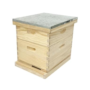 Bee Hive Boxes Starter Kit - Bee Hives Boxes 10 Frame - Langstroth Bee Hive for Beginner - 2 Layer Bee House with 10 Medium and 10 Deep Frames & Foundations (2-Layer)