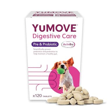 YuMOVE Digestive Care, Dog Pre and Probiotics Supplement for Gut Health, Digestive Support for All Ages and Breeds, 120 Tablets - Eco Friendly and Letter Box Ready Packaging