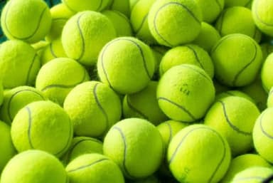 30 Used Tennis Balls For Dogs. Choose From 4 Different Ball Conditions, From "Excellent" to "Good" (30 "Excellent" Condition Used Tennis Balls)
