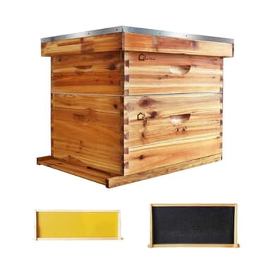 10-Frame Complete Bee Hives and Supplies Starter Kit Dipped in 100% Beeswax, Includes 1 Deep Hive Bee Box and 1 Bee Hive Super with Beehive Frames and Foundation for Beginner Beekeepers